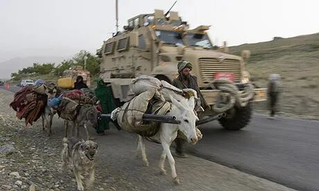 当美军依靠先进武器装备控制阿富汗战场时，毛驴依然是阿富汗人的重要运输工具。（英国《卫报》网站）